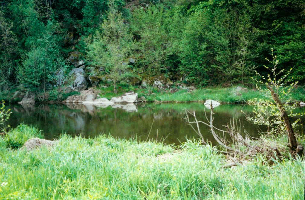 eixendorfer stausee008