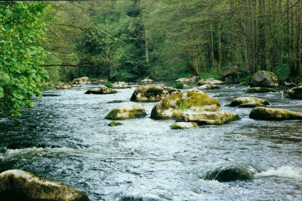 Schwarzach